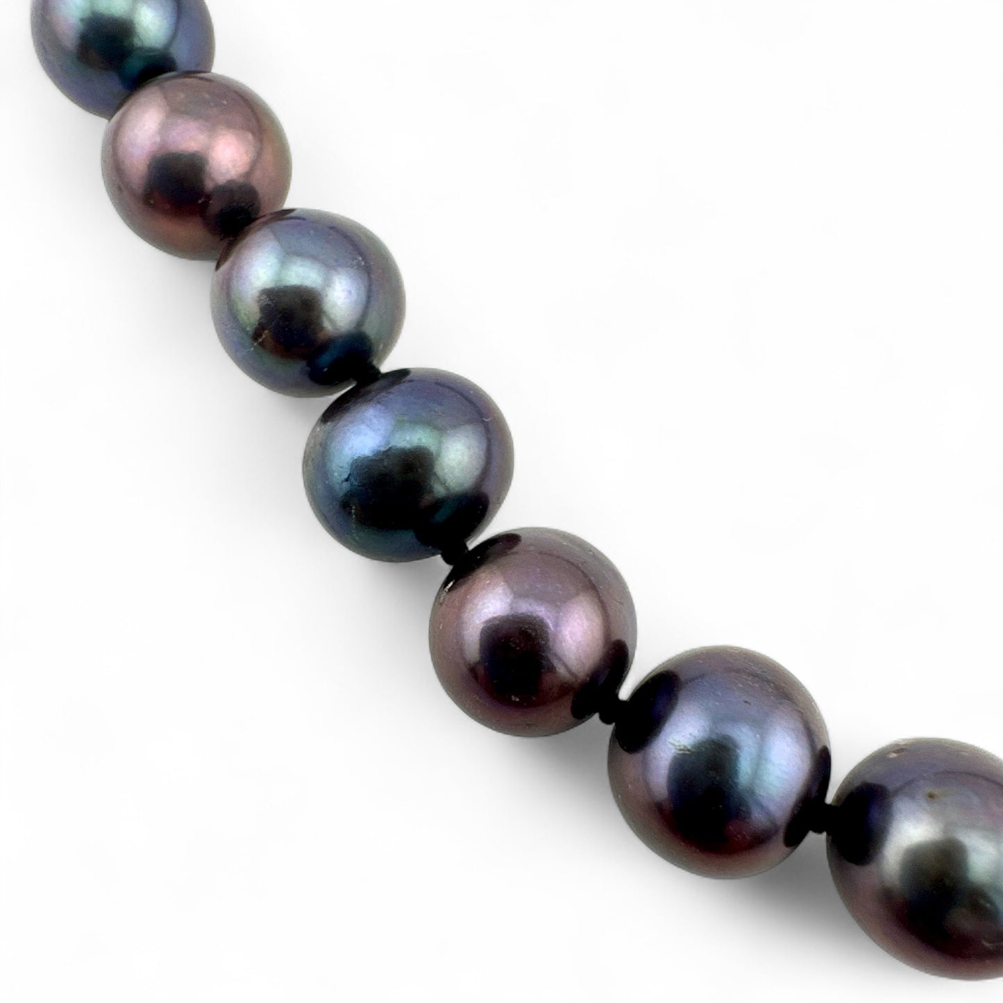 Peacock Cultured Pearl Necklace - Black Pearls - Hand Knotted - Collar Length - Silver Plated Clasp