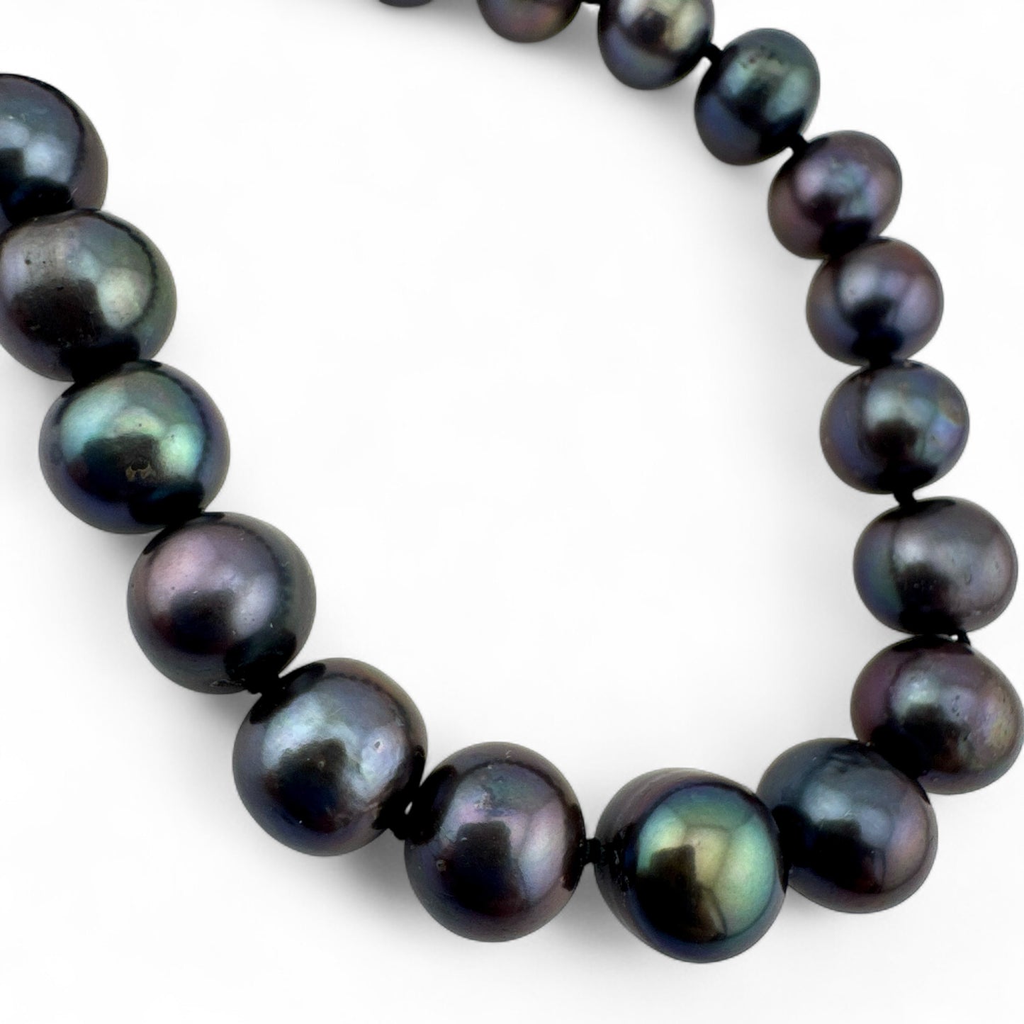 Peacock Cultured Pearl Necklace - Black Pearls - Hand Knotted - Collar Length - Silver Plated Clasp